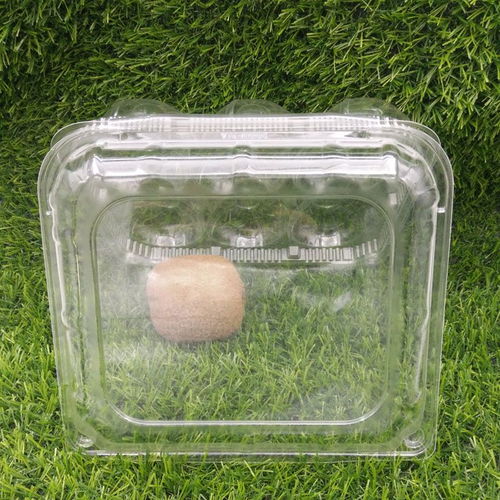 武漢吸塑包裝廠零售易供應(yīng)專業(yè)定做優(yōu)質(zhì)六個(gè)裝奇異果 獼猴桃 對(duì)折產(chǎn)品吸塑包裝盒子